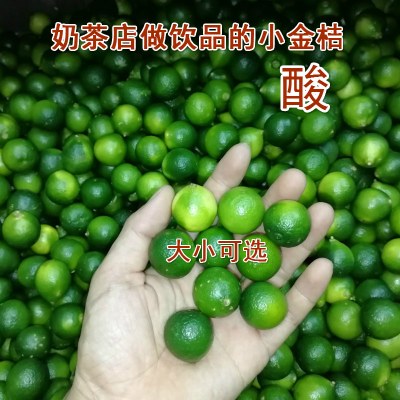 海南新鲜小青桔5斤1青金桔 酸金桔 奶茶水果 椰子鸡火锅蘸料配料