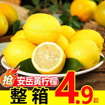 安岳黄柠檬鲜果5.5斤大果当季新鲜水果一二级皮薄小香水青柠檬6