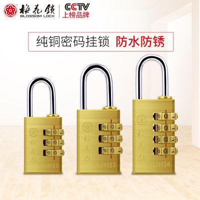 梅花锁密码锁挂锁旅行箱包拉链小锁头健身房更衣柜家用纯铜挂锁