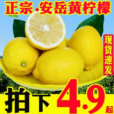 柠聚园5斤安岳黄柠檬新鲜水果一二三级当季整箱皮薄独立包装柠檬