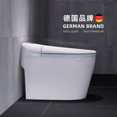 德国德朗斯汀智能马桶一体式家用全自动冲洗烘干电动坐座便器
