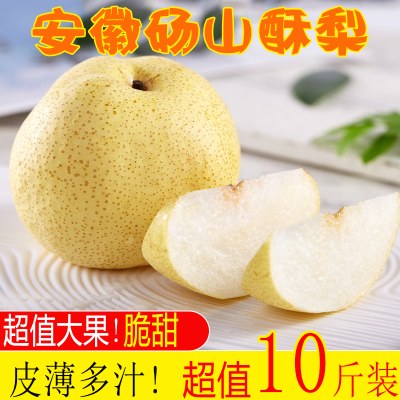 梨子新鲜10斤整箱老树梨子水果新鲜当季砀山梨批发包邮冠翠玉时令