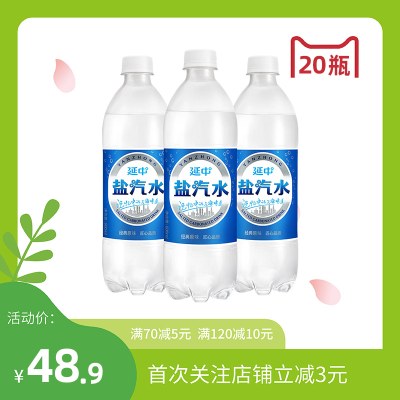 延中盐汽水600ml*20瓶/箱 低能量碳酸饮料饮品咸味汽水整箱
