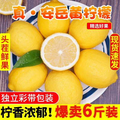 安岳黄柠檬鲜果5斤大果当季新鲜水果一二级皮薄小香水青柠檬整箱