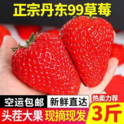 空运丹东99草莓新鲜现摘孕妇水果3斤 东港久久红颜奶油大草莓整箱