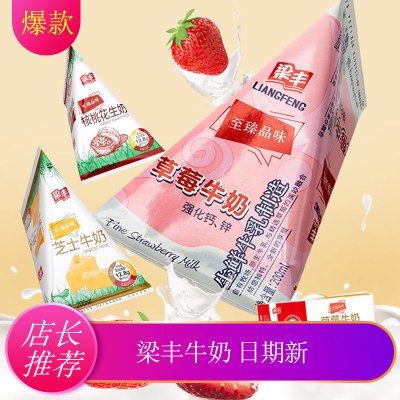梁丰草莓牛奶盒装网红草莓味牛奶三角包200mlX12包 草莓味