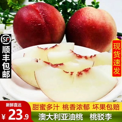 澳洲进口油桃桃驳李脆甜桃子新鲜5斤蜜桃孕妇水果批发顺丰包邮