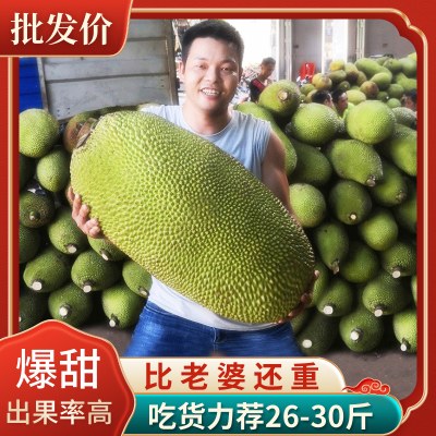 海南三亚菠萝蜜新鲜水果包邮当季黄肉一整个整箱20-40斤木波罗蜜