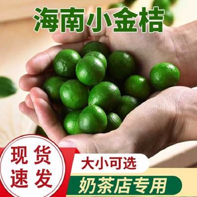 新鲜皮薄多汁小青柠海南小金桔青金桔柠檬免邮 奶茶水果5斤批发