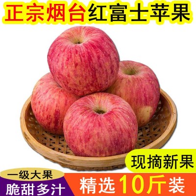 思果甜山东烟台红富士苹果新鲜水果10助农当季整箱5斤脆甜丑应季