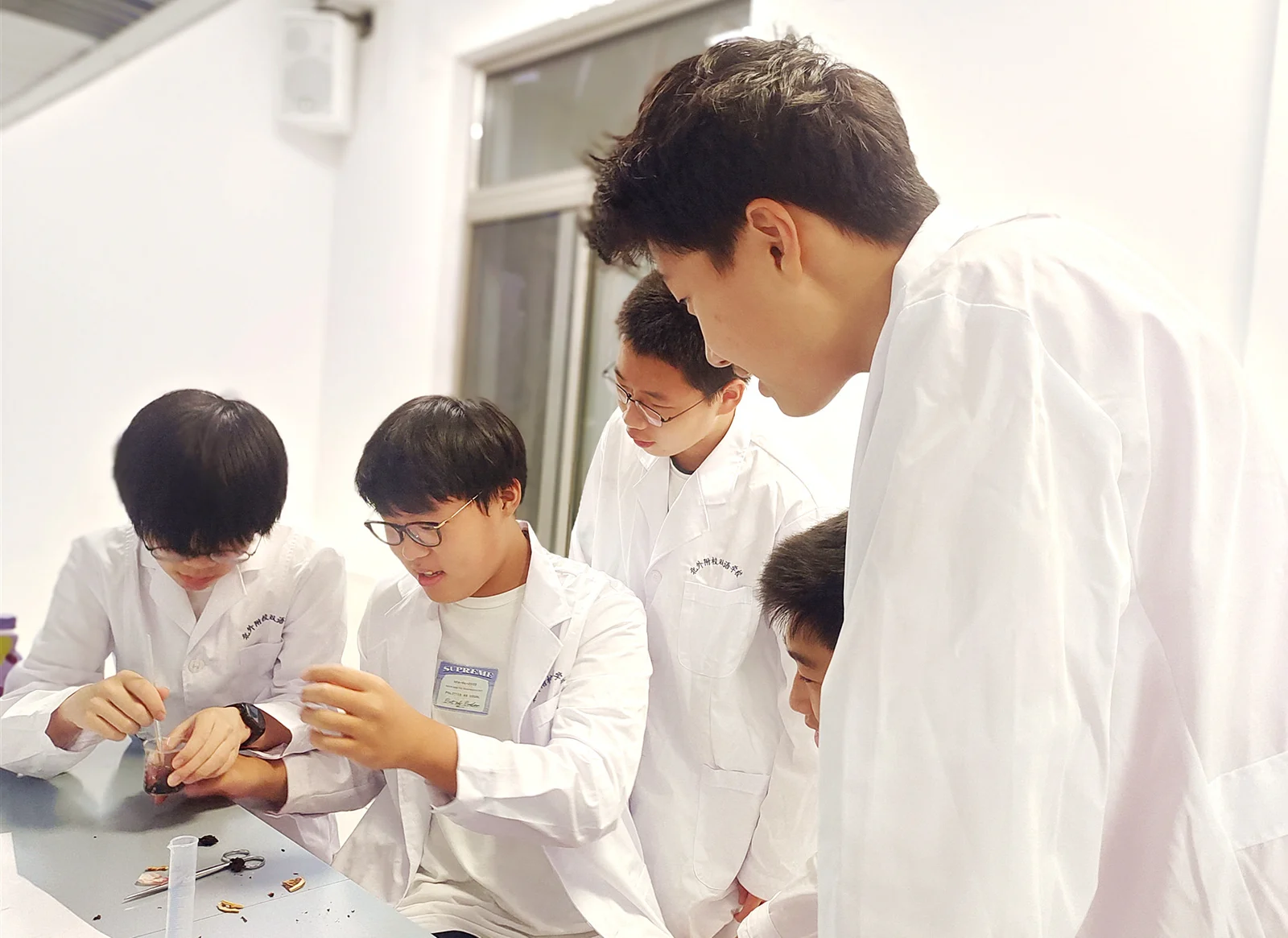 北外同文素材 教学观察